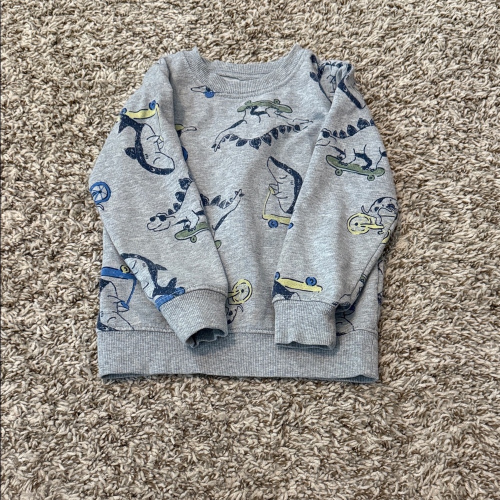 Gray Dinosaur Print Kids Sweatshirt